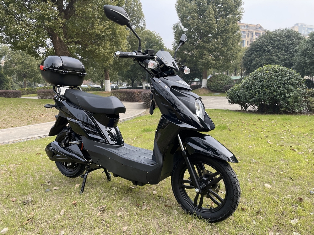 48V 800W Pedal Assisted Electric Scooter With LCD Display 20Ah Lead Acid Battery