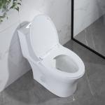 Round Front One Piece Skirted Toilet Dual Flush Elongated Fully Skirted CUPC