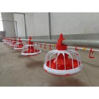Buy cheap Broiler Chicken Farming Equipment 380v With 1 Year Warranty product