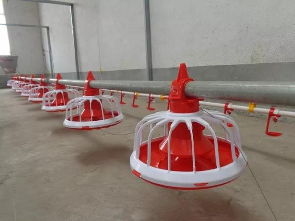 Quality Broiler Chicken Farming Equipment 380v With 1 Year Warranty for sale