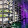 Buy cheap 20FT Sea Shipping Container Farm Hydroponic Fodder Container for Vegetable Fruits Flowers from wholesalers