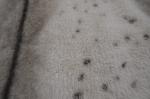100% Polyester Tuscany Fabric 170CM CW Or Adjustable Width 675gsm