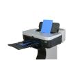 Buy cheap Digital X Ray Pet Medical Films X Ray Film In Veterinary from wholesalers