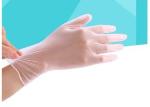 Disposable PVC Examination Gloves