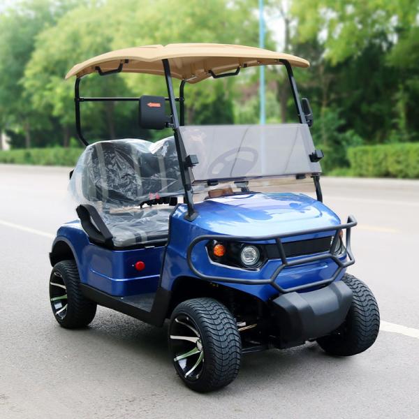 Buy cheap Luxury Blue 2 Seater Electric Golf Cart Lead-Acid Battery Lithium Battery Support Customized Color And LOGO from wholesalers