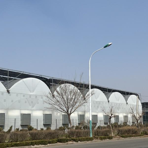 Initial Payment JX-A0050 Water Pipe Agricultural Greenhouse for Vegetable