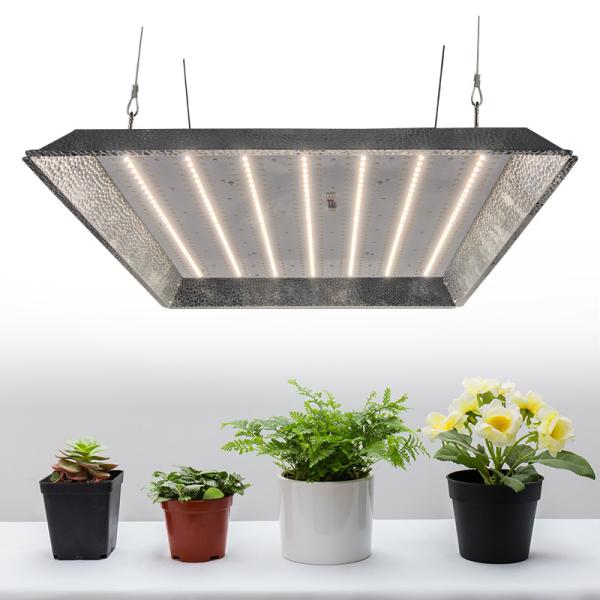 Buy cheap FCC Knob Dimming IP65 Horticulture LED Grow Lights For Greenhouse from wholesalers