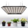 Buy cheap Marshydro Square 3x3 330w Quantum LED Grow Lights from wholesalers