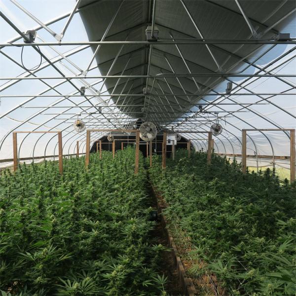 Buy cheap External Shading System vegetable Light Deprivation Greenhouse for Plants Cultivation from wholesalers