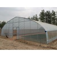 Buy cheap Galvanized Frame PE Film Greenhouse , Hoop Tunnel Greenhouse CE Approved product