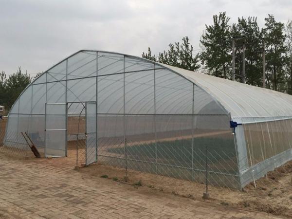 Buy cheap Easy Install Single Tunnel Greenhouse Cover Material 0.12-0.2mm PEP Film from wholesalers