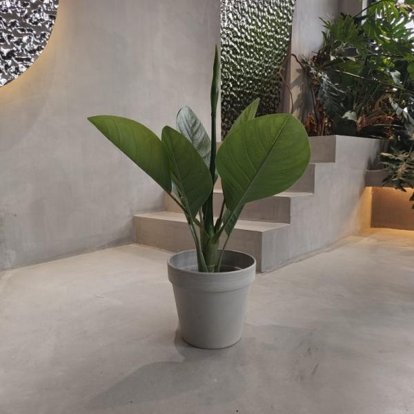 Buy cheap Vibrant Eco Friendly Plastic Garden Pots Waterproof 250*175*230MM from wholesalers