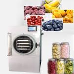 Mini Food Food Freeze Drying Machine Electric Heating