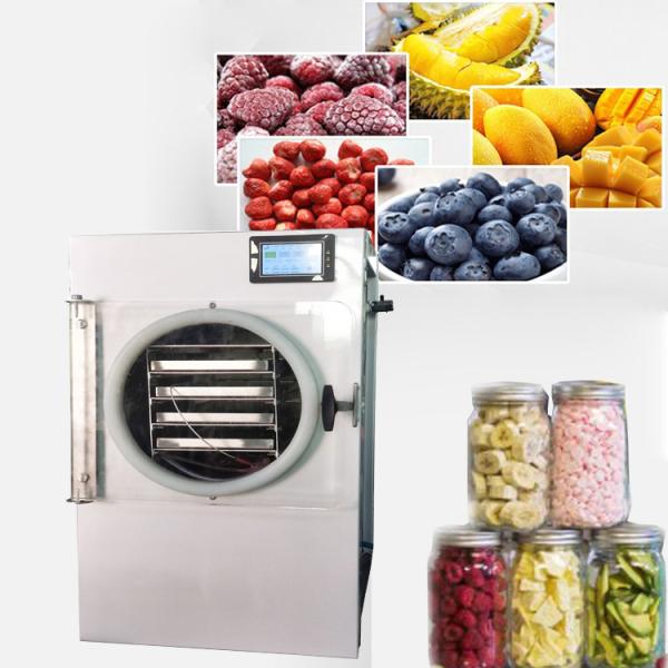Buy cheap Electric Heating Portable Freeze Dryer Low Energy Consumption 0.13Kg/h from wholesalers