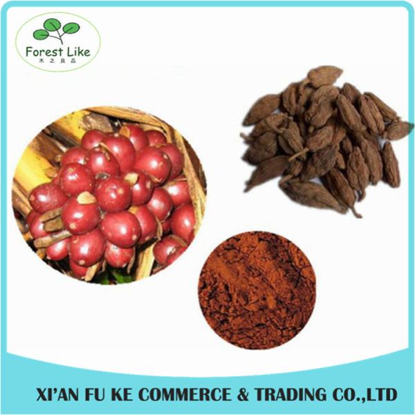 Buy cheap Tsaoko Amomum Fruit Extract / Fructus Tsaoko Extract Powder 4:1 - 20:1 from wholesalers