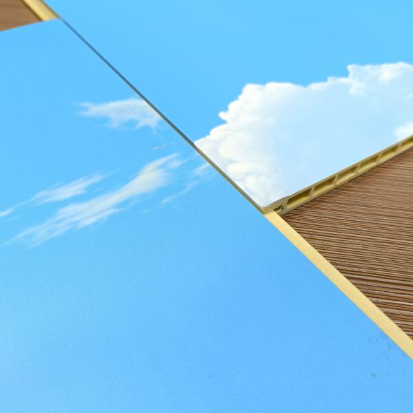 Buy cheap Bamboo Fiber PVC Decorative Wall Panels 10mm Thick For Living Room from wholesalers