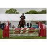 Buy cheap Equestrian Riding Arenas Specical Event Tent 20x100 Semi Permanent White Tent Pvc Fabric Horse Event from wholesalers