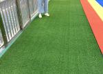 Playground PP PE Blue Yellow Purple Red Colored Artificial Turf