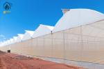 Buy cheap Energy Efficient Tropical Multispan Greenhouse With Temperature And Humidity from wholesalers