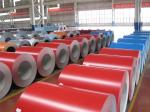 Prepainted PPGI Hot Dipped Galvanized Steel Coil For Roofing Sheet Decoration