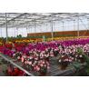 Buy cheap Flower Large Polycarbonate Greenhouse Strong Thermal Insulation Sides Ventilation from wholesalers