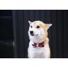Buy cheap Wide Yellow Red Nylon Dog Collars Personalised Christmas Thanksgiving Dog Bow Tie from wholesalers