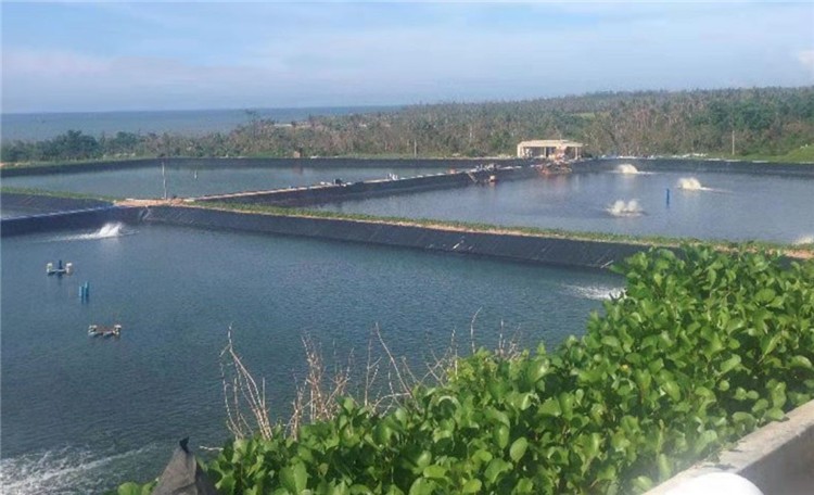 300 Micron 500 Micron 750 Micron Geomembrane Pond Liner for Reservoir Length 50m-200m/roll