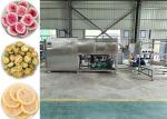 PLC Controlled Vacuum Freeze Drying Machine 30-35kg/batch