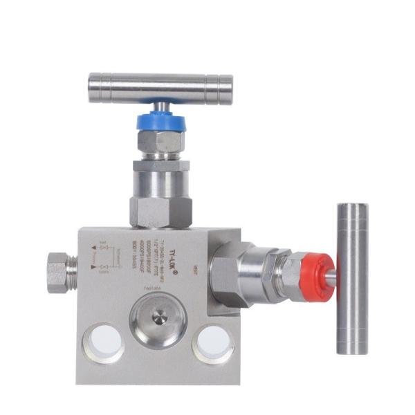 Buy cheap 304 Stainless Steel Internal Thread Two Valve Group Integrated Instrument from wholesalers