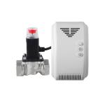 DN15 Domestic Gas Detector