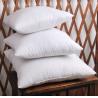 Buy cheap Grey Duck Feather Cotton Cushion Inserts White Knife Edge OEM from wholesalers