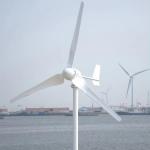 3kw Off Grid Hybrid Solar Wind Power Generation System Made of Reinforced Glass