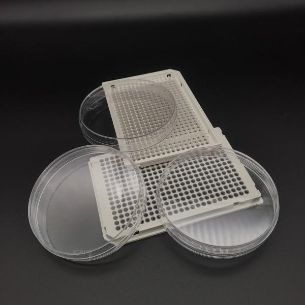 Buy cheap Disposable TCT 24 Well Cell Culture Plate For Laboratory Chemistry from wholesalers