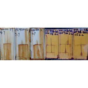 Feiyang 2023 Polyaspartic Polyurea Innovations and Latest Application Developmen