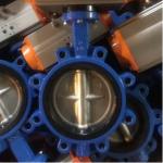 Buy cheap Water Media PN10 PN16 Rubber Seal Lug Type Butterfly Valve Lt Type Worm Actuated from wholesalers