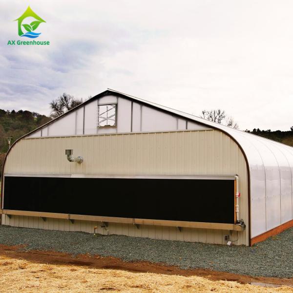 Eco Friendly Automatic Light Dep Greenhouse 8m To 11m Width Plants Grow