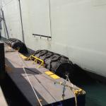 Anti Collision Durable Rubber Fenders
