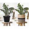 Buy cheap Wholesale Handmade Design Decorative Small Woven Grey Cotton Rope Baskets For Laundry Plants Storage Baskets from wholesalers