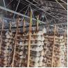 Buy cheap Polyethylene Panda Film Light Resistant Mushroom Growing Greenhouse from wholesalers