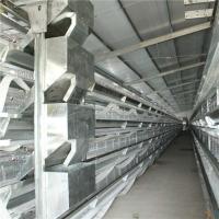 Buy cheap Commercial Automated Poultry Feeding System , Broiler Chicken Farm Equipment product