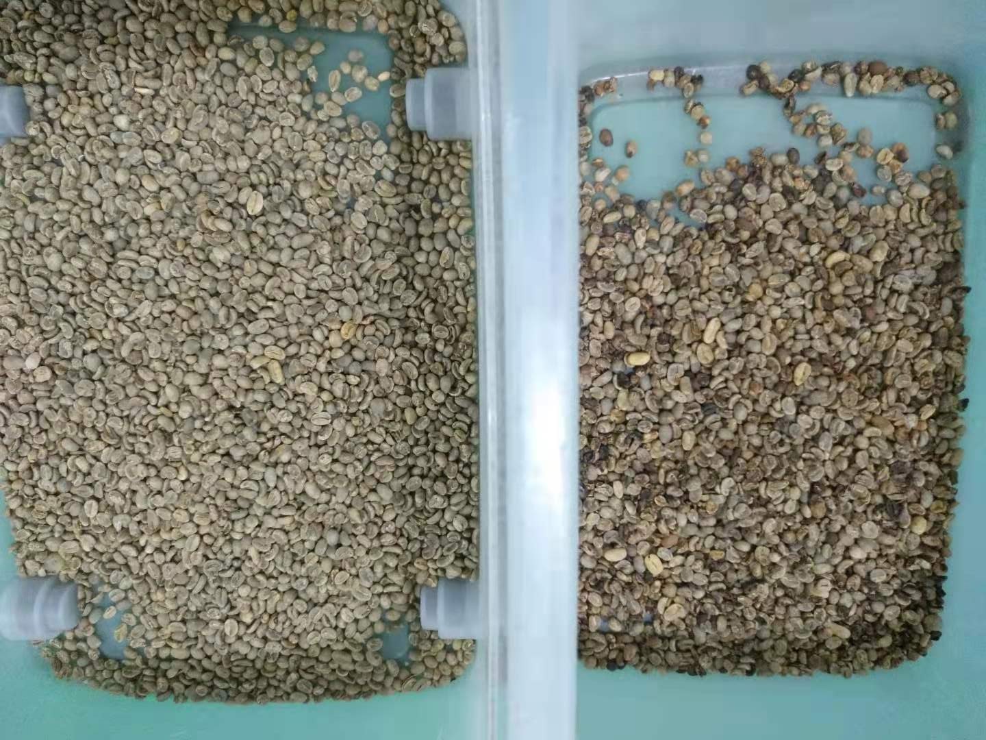 2022 Customized Top Quality Broad Beans Color Sorter Grading Machinery with 2 Chutes