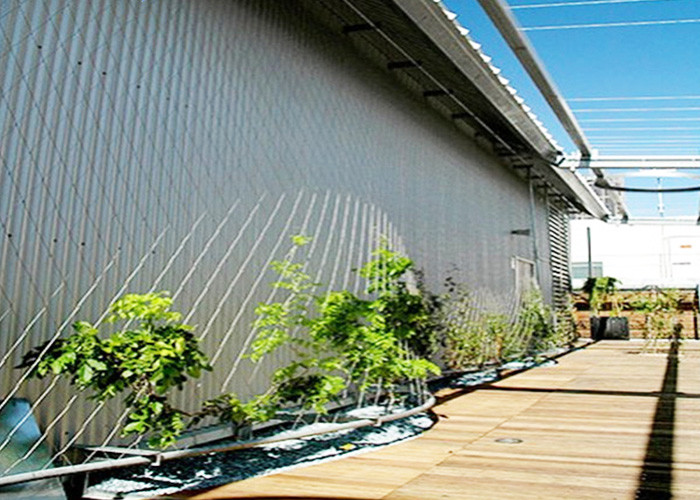 Stainless Steel Wire Rope Green Wall Mesh 304 304L 316 316L