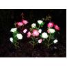 Buy cheap Solar three heads rose lights Ground decoration lawn lamp from wholesalers