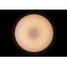 Buy cheap Environmental Protection Round Ceiling Lamp 2800K～6000K Color Temperature Adjustable from wholesalers