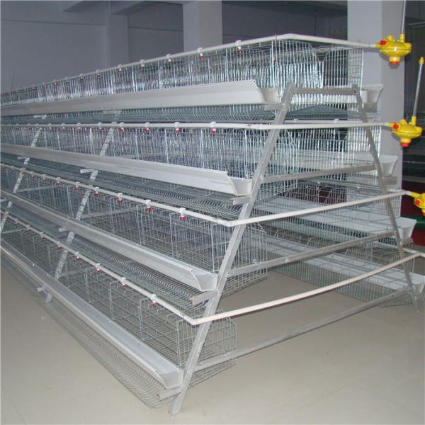 Buy cheap Chicken Farming 3 Tiers A Frame Layer Cages Automatic Manure System from wholesalers