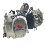 4 Stroke DAYANG Complete Motorcycle Nature 110CC Gasoline Engine Ignition Style