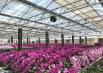 Eco Friendly Materials Garden Glass Greenhouse Aluminium / Steel Metal Type