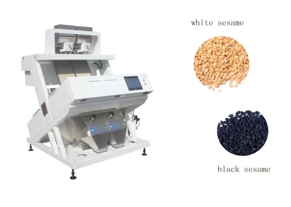 Buy cheap 1~2 Ton Per Hour Grain Colour Sorter ZVS128-2 For Black / White Sesame Seeds from wholesalers