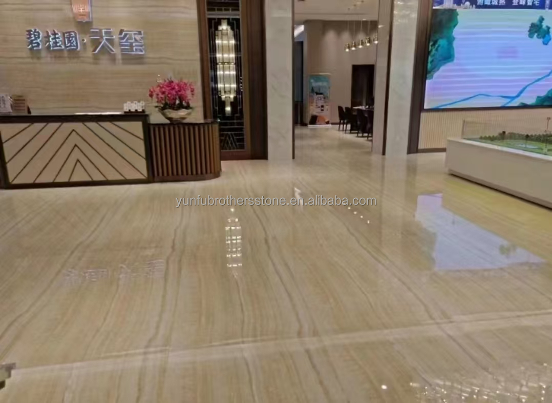 Modern Hotel Design Style Transparent White Jade Marble Slab for Wall and Floor
