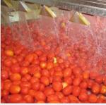 Buy cheap Automatic Tomato Paste Processing Line High Speed from wholesalers